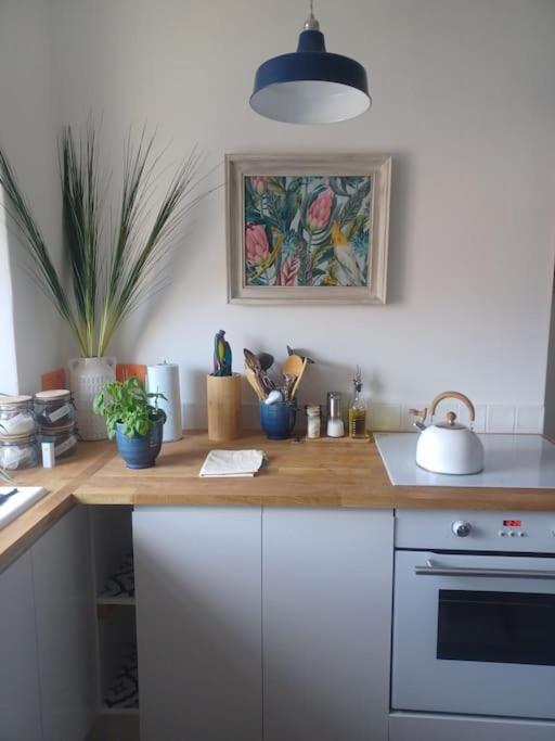 Appartement The Fuzzy Duck à Broughty Ferry Extérieur photo